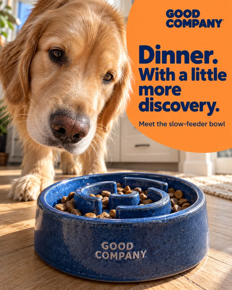 GOOD COMPANY slow-feeder bowl ad with a golden retriever.